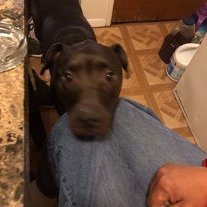 Meet your Posher, Anthony